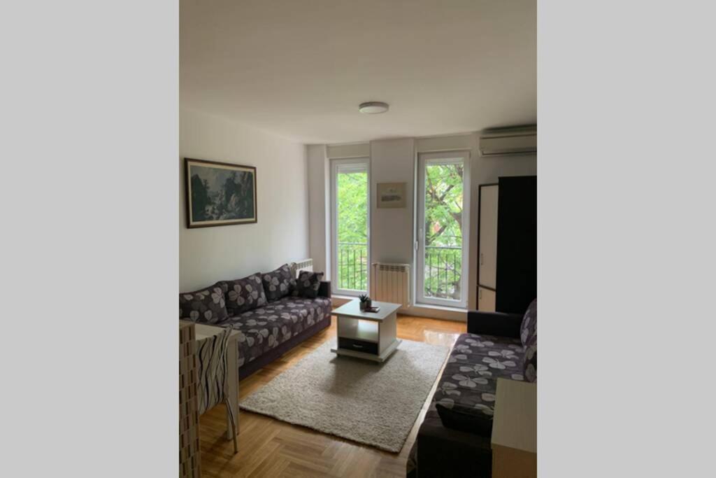 Renovated Cozy Studio 7 At Top Location - Available For Long Term Rentals Novi Sad Exterior photo